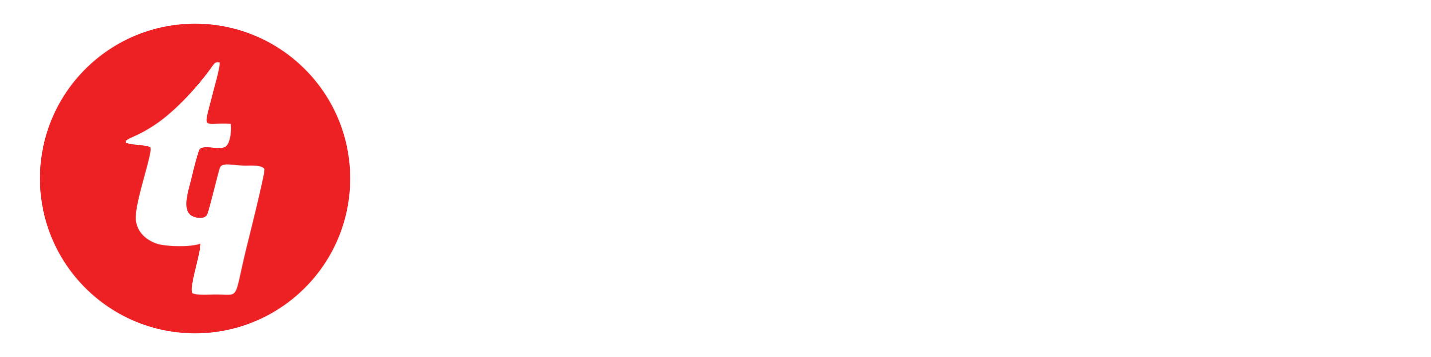 Organization Logo